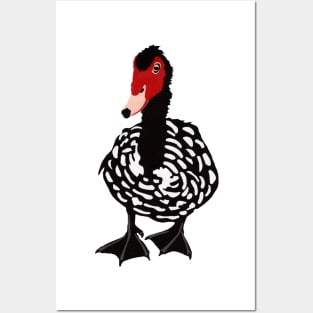 MUSCOVY DUCK - Adorable Bird Hand Cut from Paper - Original Art Posters and Art